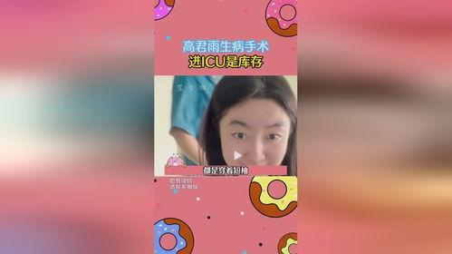 吃瓜点评小说免费阅读,免费畅读小说界的风云变幻